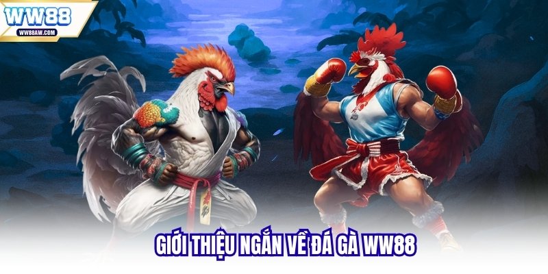 Giới thiệu ngắn về đá gà WW88